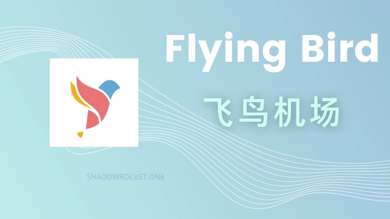 FlyingBird 飞鸟机场官网