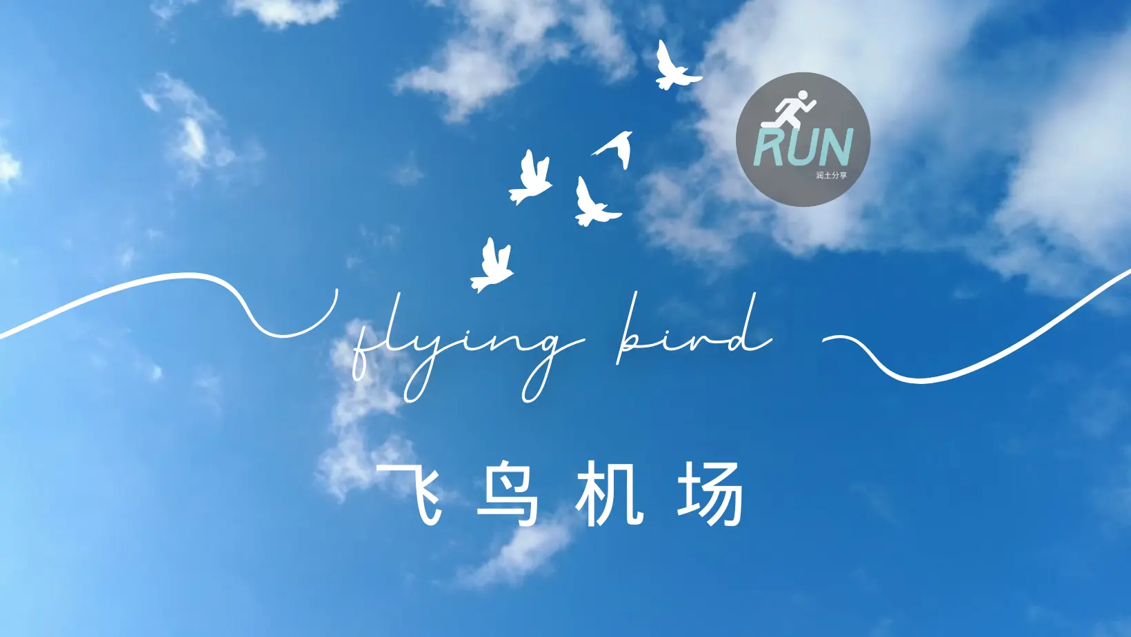 FlyingBird-飞鸟机场官网